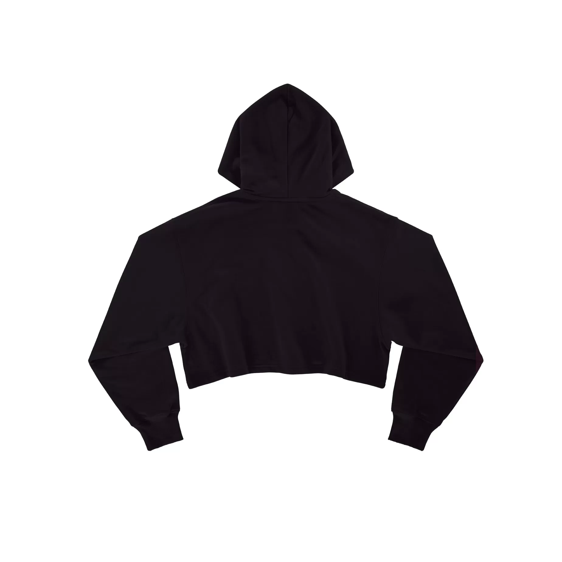 Crop Hoodie - ^Telfar Clearance